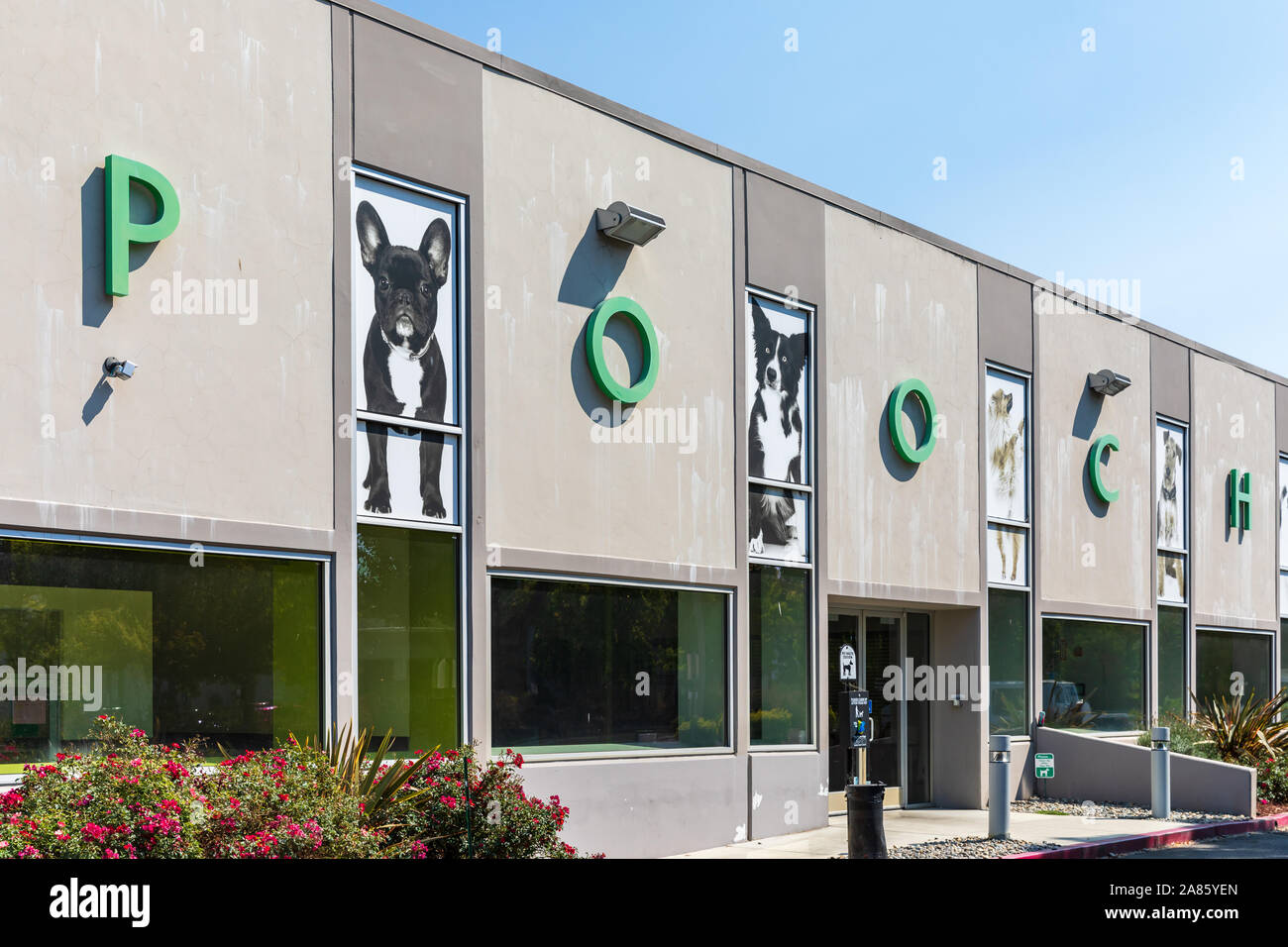 Pooch Hotel Sunnyvale, chien de garde, l'embarquement et les soins, avant de l'édifice ; Sunnyvale, Californie Banque D'Images