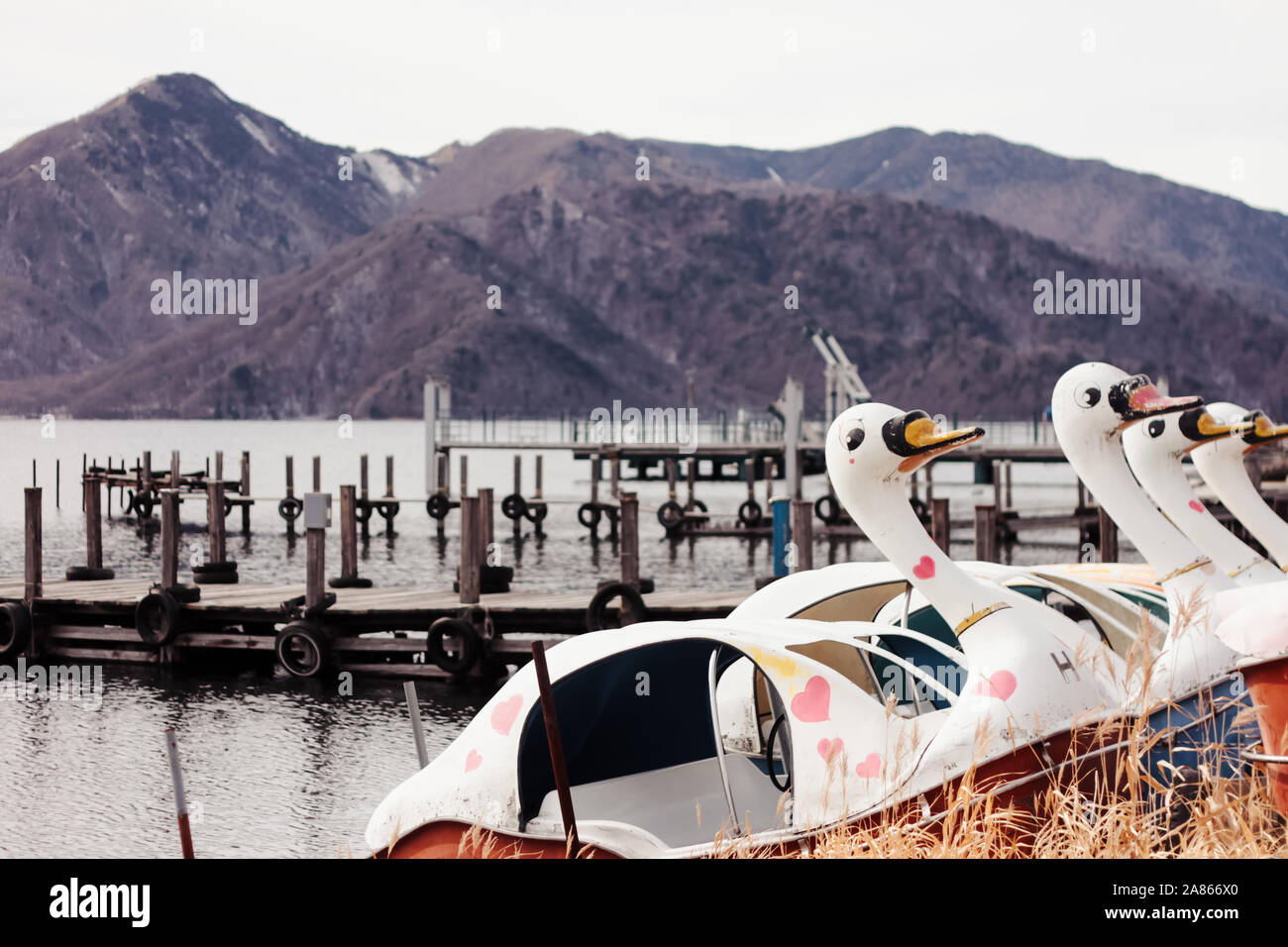 Pédalo cygne sur le lac Chuzenji à Nikko, Japon Banque D'Images