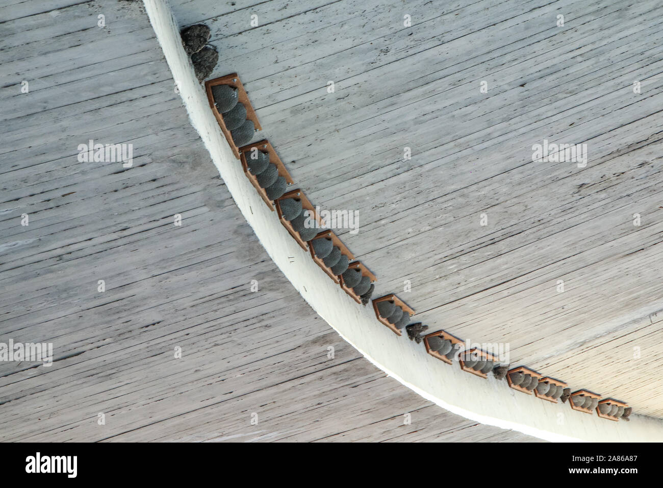 L'artificiel faux nids d'oiseau sont suspendus sous le pont sur le plafond en béton. Pour aider les oiseaux d'avoir des enfants rapidement. Banque D'Images