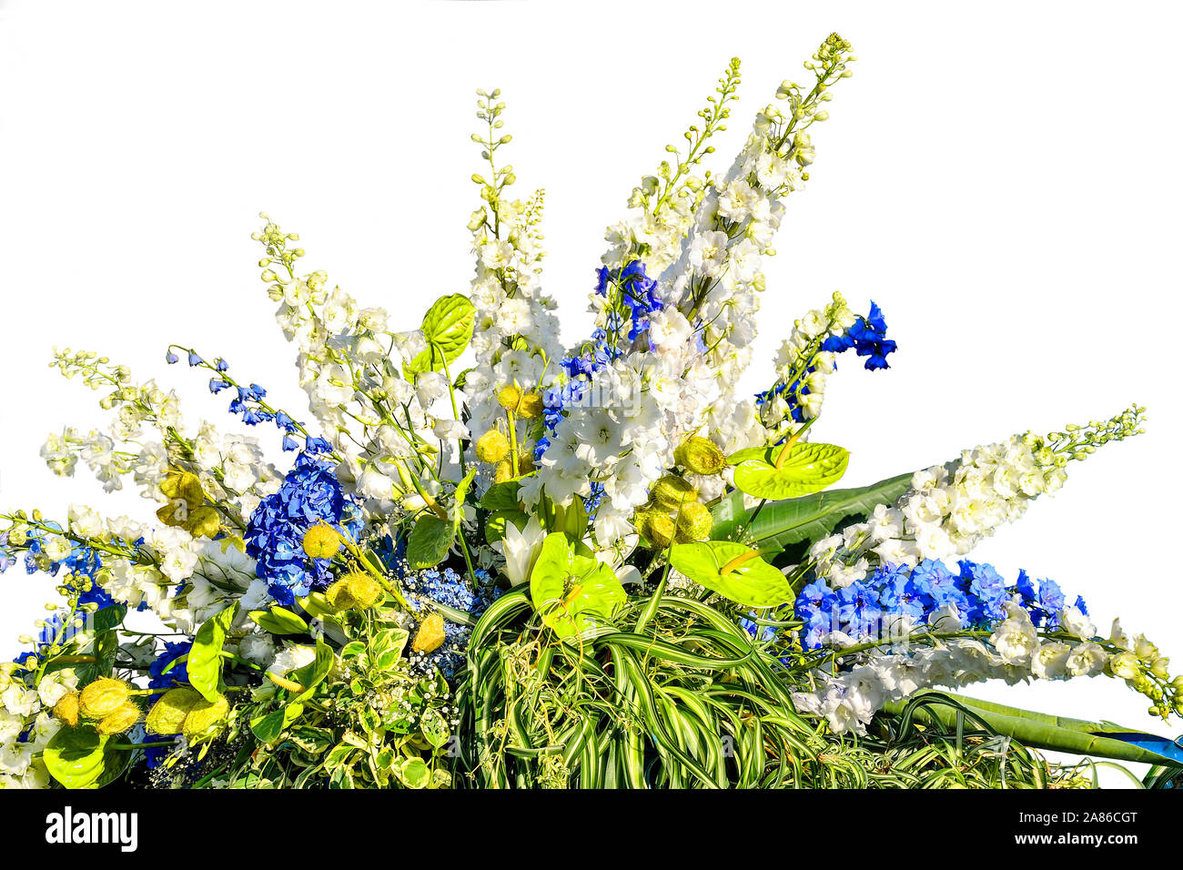 Belle composition florale du blanc et bleu de fleurs et feuilles panachées de plantes décoratives. Superbe bouquet de fleurs différentes et des plantes Banque D'Images