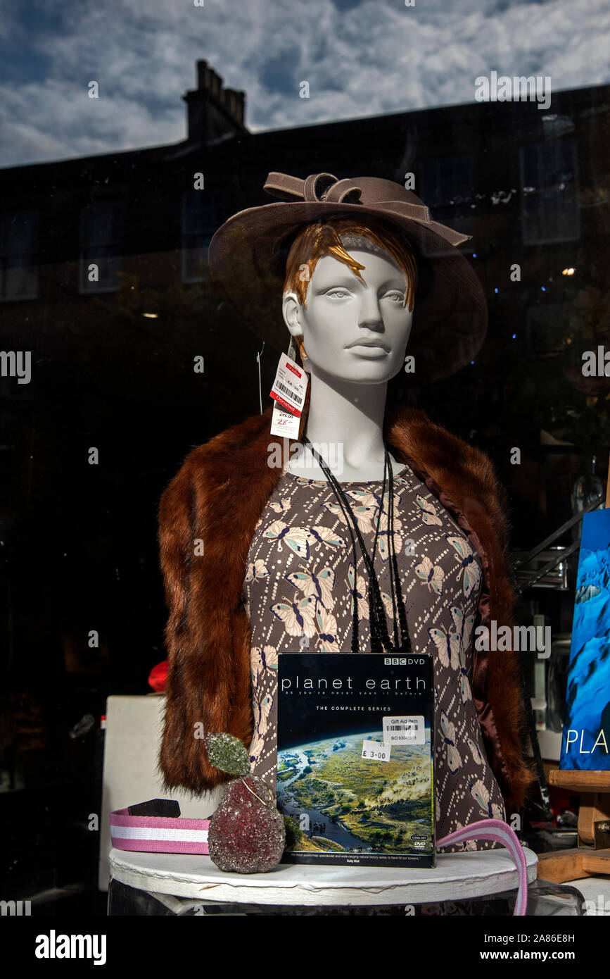 Mannequin et réflexions dans la fenêtre d'un magasin de charité d'abris à Stockbridge, Édimbourg, Écosse, Royaume-Uni. Banque D'Images