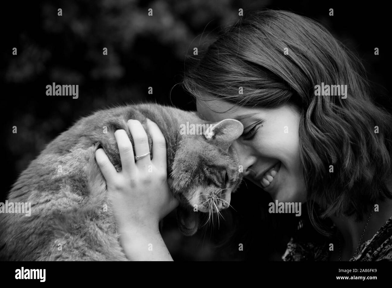 Une fille et son chat Banque D'Images