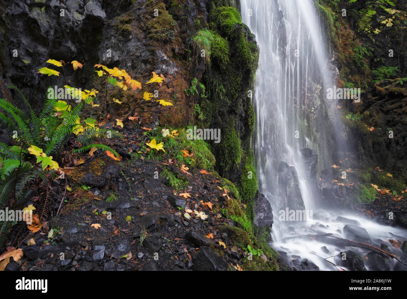 Flux d'automne étonnant Creek sur Lancaster tombe dans l'Oregon's Columbia River Gorge National Scenic Area. Banque D'Images