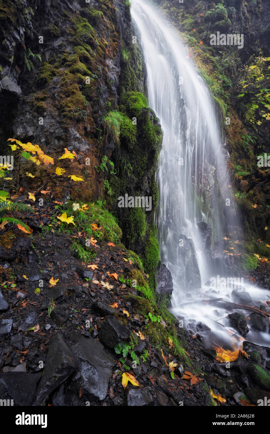 Flux d'automne étonnant Creek sur Lancaster tombe dans l'Oregon's Columbia River Gorge National Scenic Area. Banque D'Images