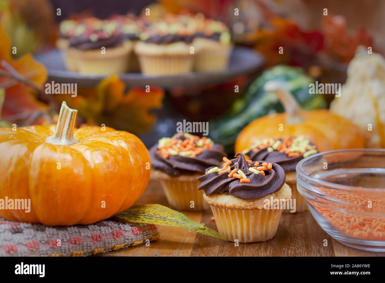 Le thème de l'automne mini cupcakes. Yellow cake au chocolat avec glaçage orange, rouge, jaune et paillettes. Banque D'Images