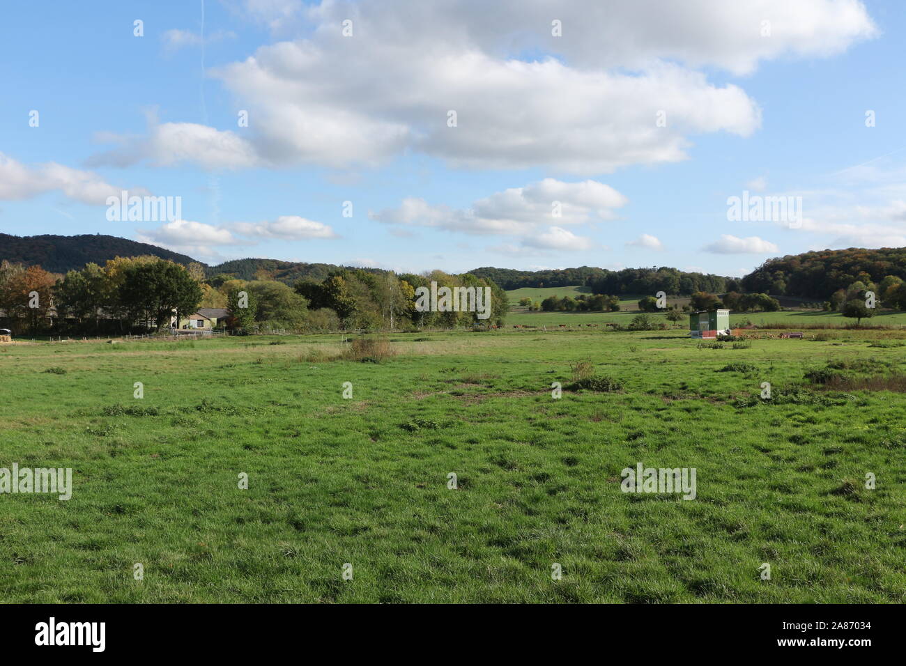Herbstlandschaft am Laacher voir in der Eifel Banque D'Images
