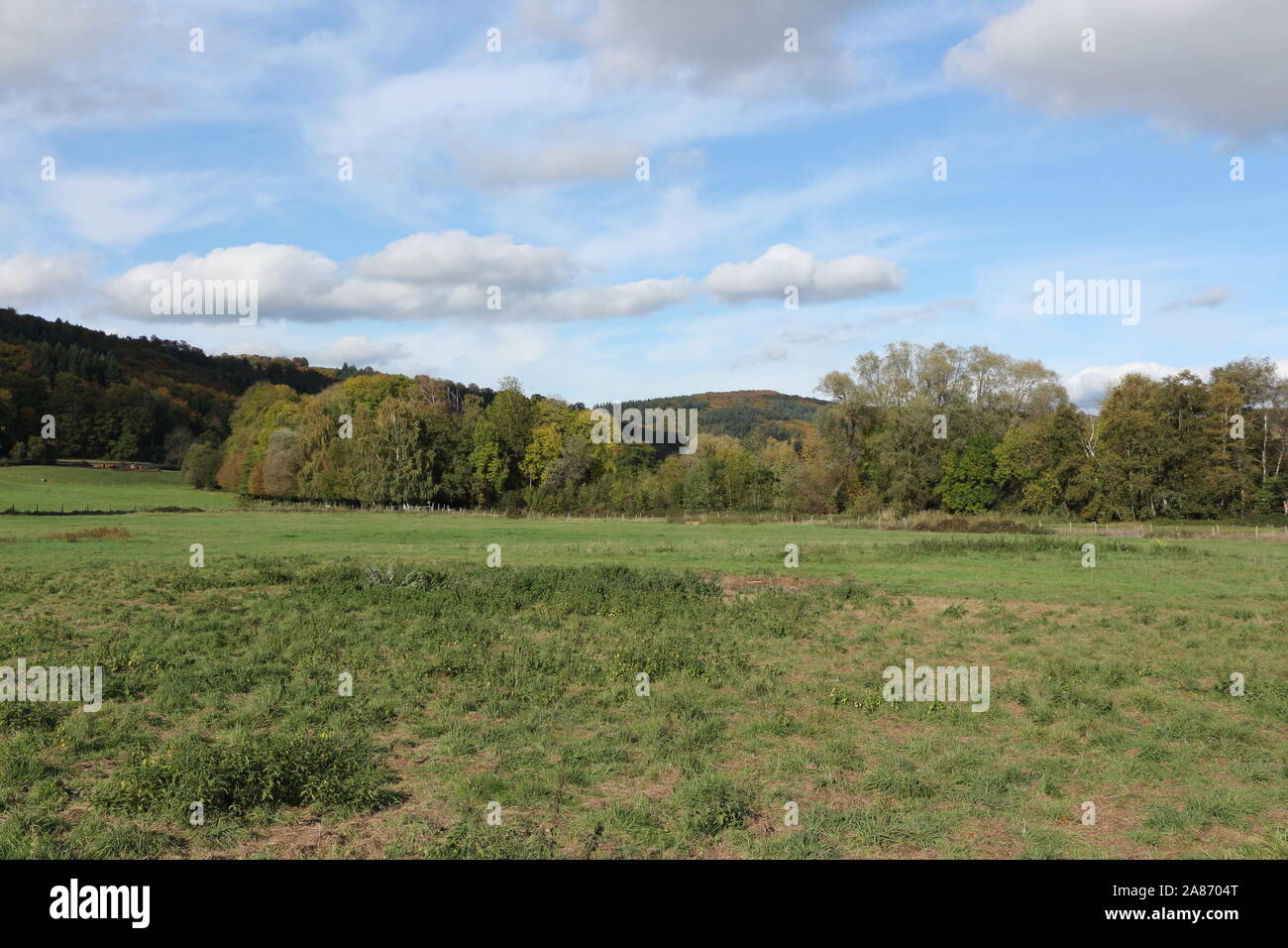 Herbstlandschaft am Laacher voir in der Eifel Banque D'Images