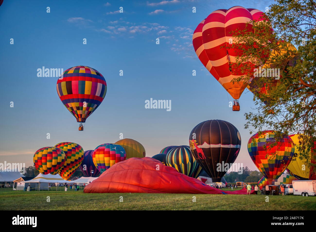 Festival de montgolfières Matin, Sunrise lancement de ballons multiples sur un beau matin d'été Banque D'Images