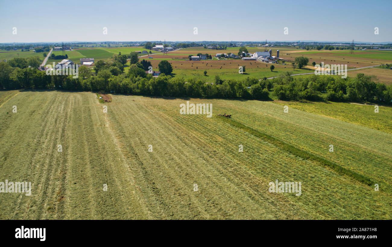 Vue aérienne d'une ferme Amish sa récolte La récolte à l'aide de chevaux et de matériel ancien vu par un drone Banque D'Images