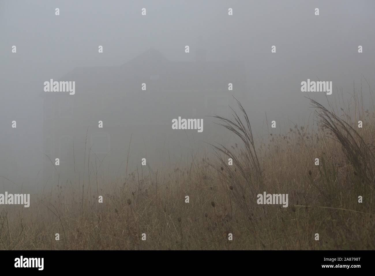 Une maison à peine visible dans le brouillard avec des herbes sèches au premier plan, à Eugene, Oregon, USA. Banque D'Images