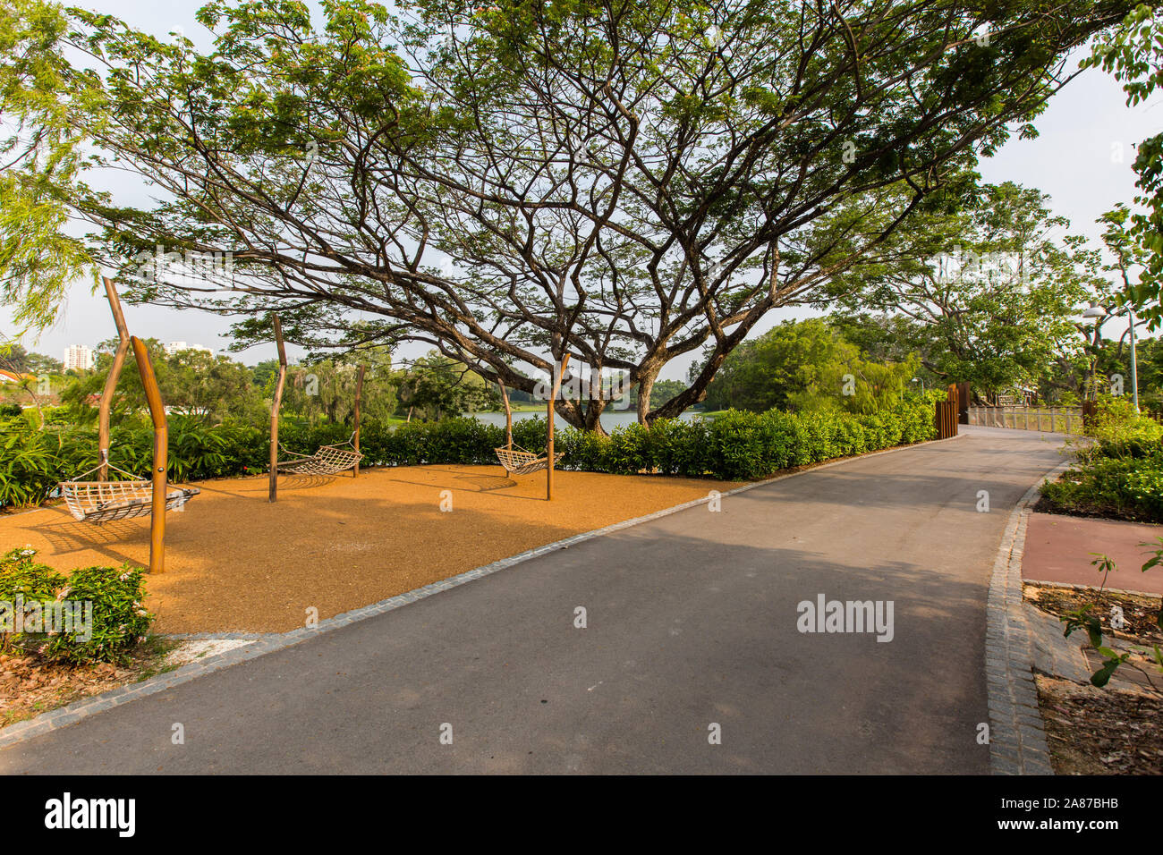 Marcher dans le parc améliore la santé mentale et le bien-être, il y a aussi des hamacs pour les visiteurs pour se coucher et se détendre. Jurong Lake Garden. Singapour. Banque D'Images