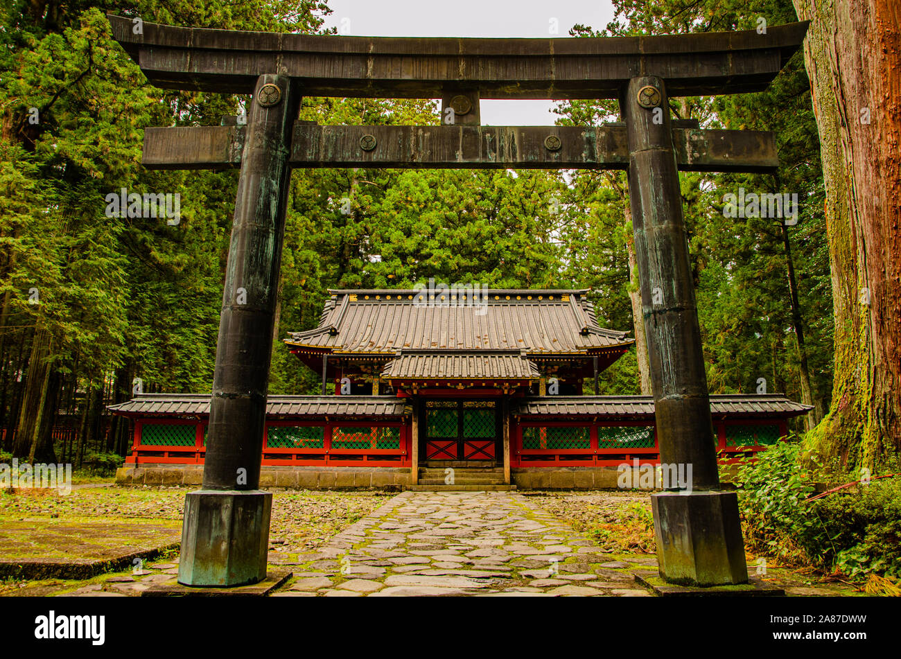 Torii et de culte à Nikko, Japon Banque D'Images