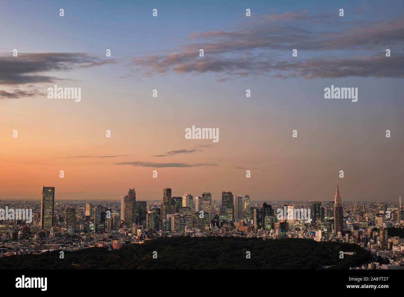 Tokyo Skyline at Sunset Banque D'Images