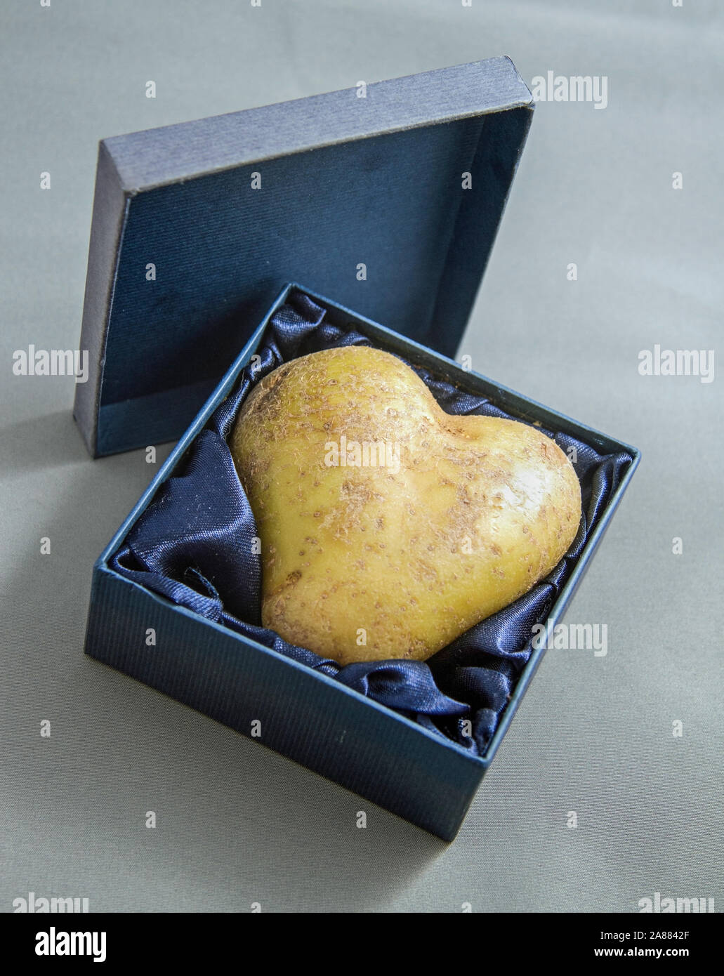 Une pomme de terre en forme de coeur dans une boîte-cadeau. Pomme de terre  de l'amour Photo Stock - Alamy