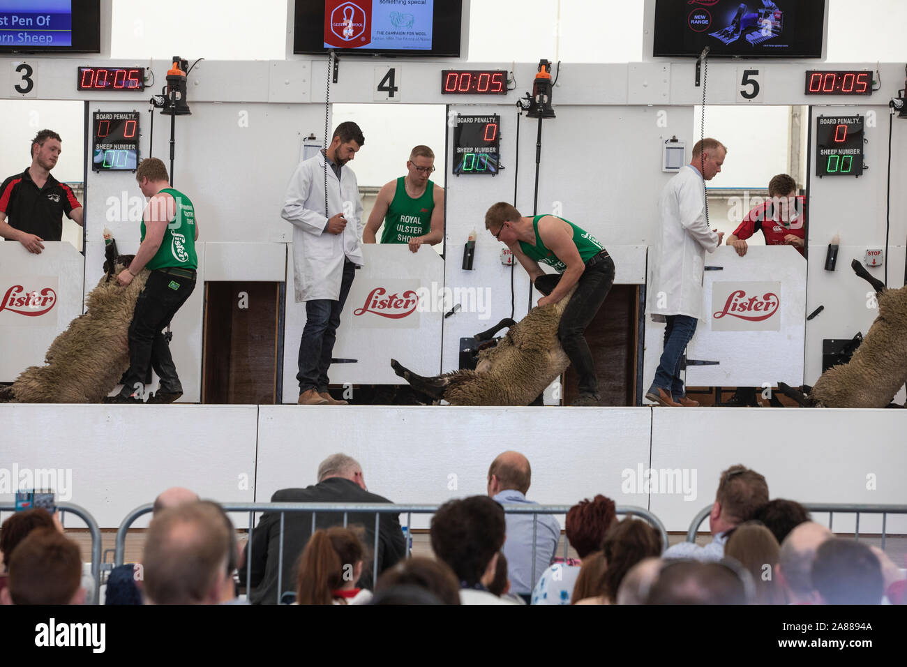 Balmoral Show, Lisburn, Irlande du Nord Banque D'Images