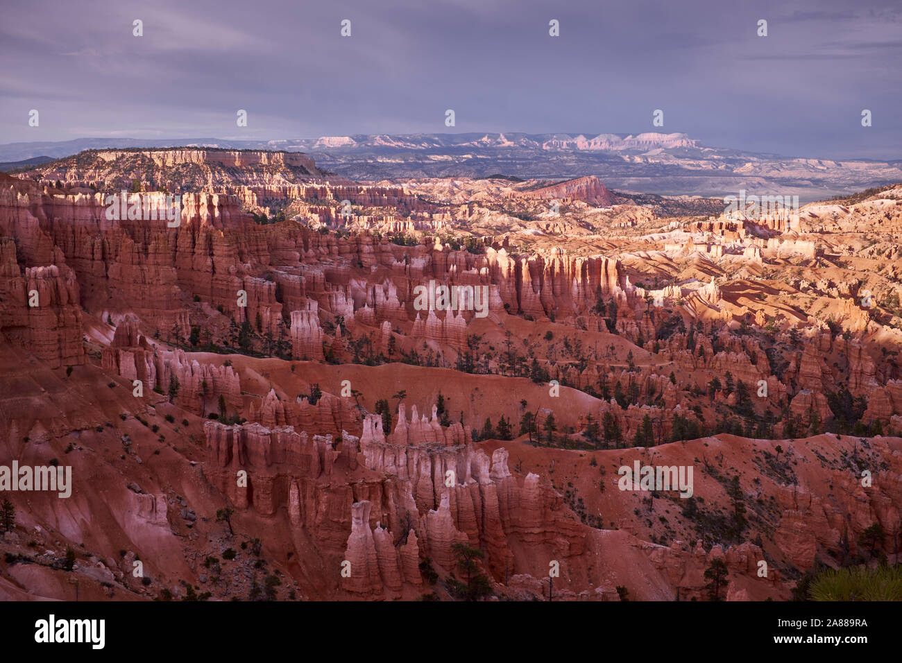 Bryce Canyon, Utah, USA Banque D'Images