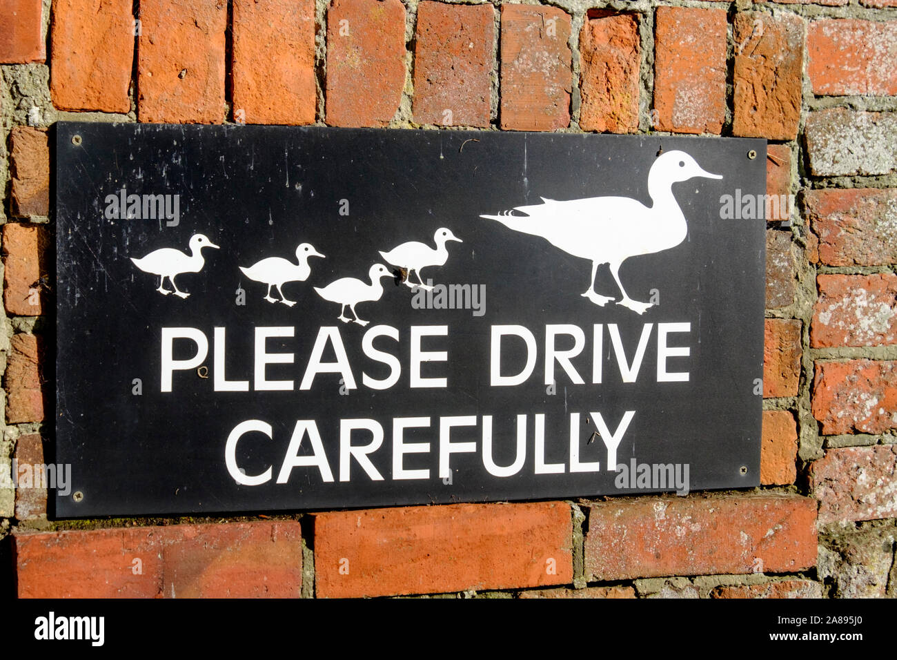 Uchfont est un petit village dans le Wiltshire UK. Inscrivez-vous invite à conduire avec prudence car de canards Banque D'Images