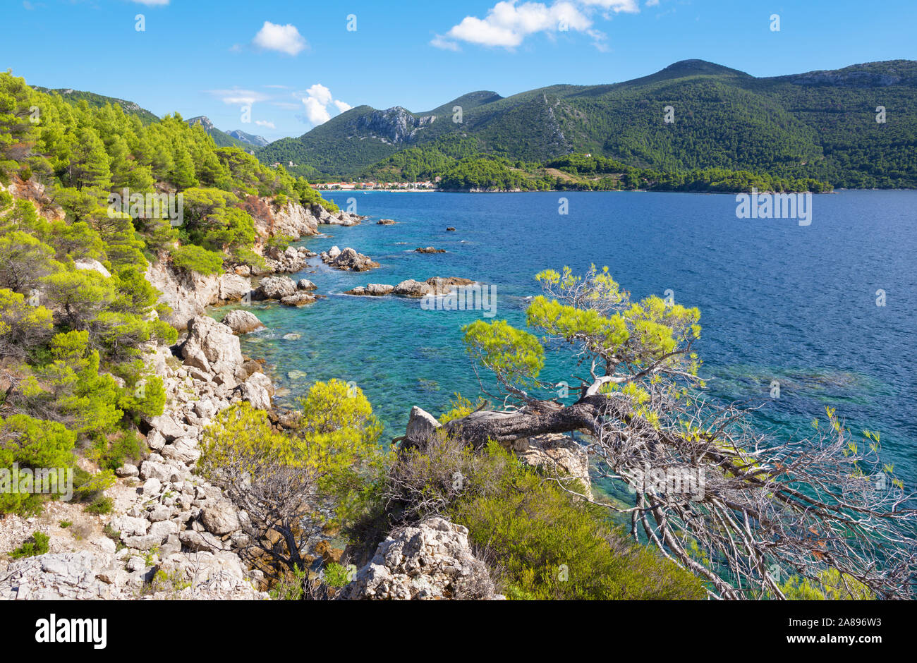 Croatie - La côte de la péninsule de Peliesac près de Zuliana Banque D'Images