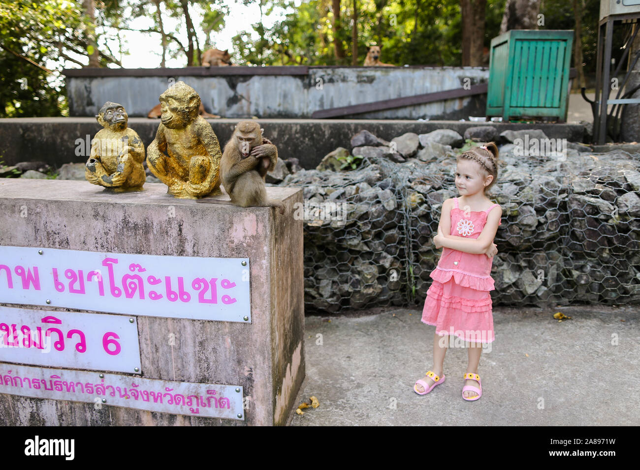 Peu cute girl standing près de monkey golden statuettes et macaco au zoo en Thaïlande. Banque D'Images