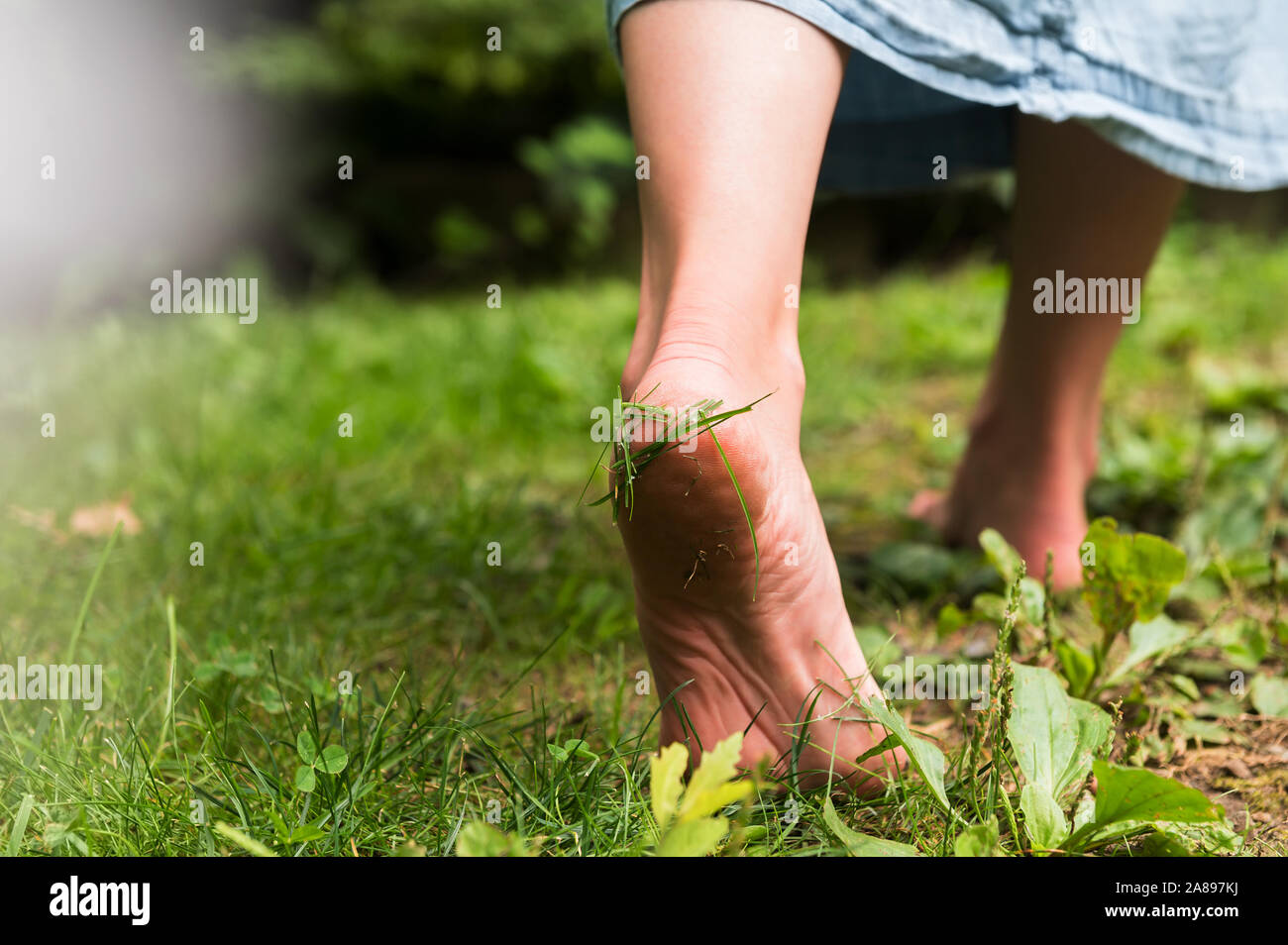 Femme marchant pieds nus sur l'herbe Banque D'Images