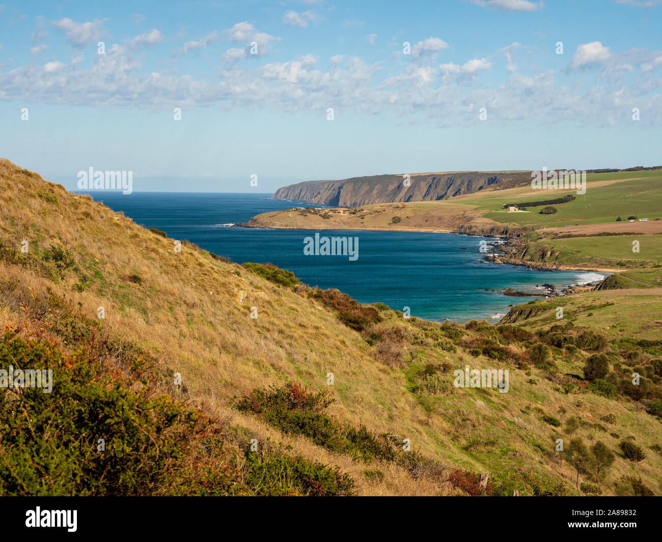 Pétrel Cove en Australie méridionale, Australie Banque D'Images