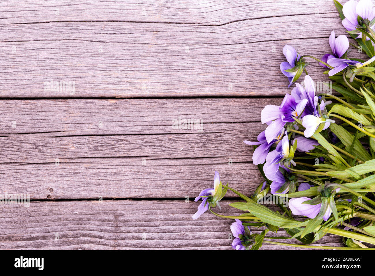 Bouquet de violettes violet sur table en bois. Anciennes cartes avec des fleurs de jardin Banque D'Images