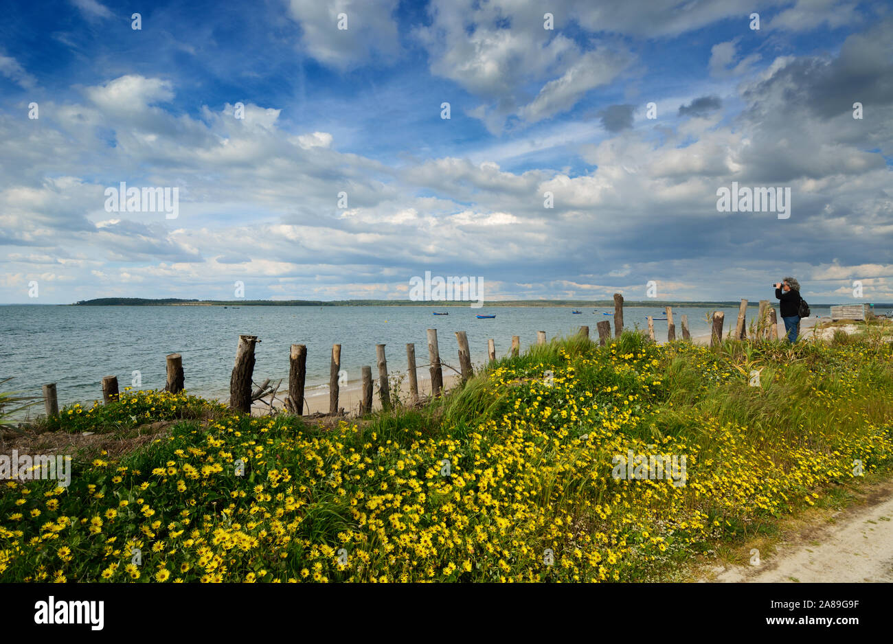 L'observation des oiseaux sur les rives de la rivière Sado. Alcácer do Sal, Portugal Banque D'Images