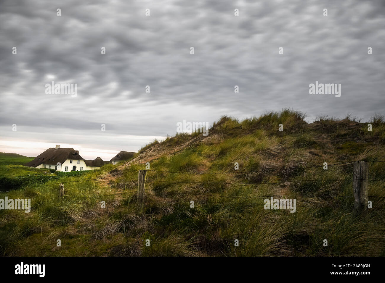 L'Allemagne du Nord paysage avec Maison Frison, l'herbe haute sur les collines et les barbelés, sur l'île de Sylt, dans la mer du Nord, de l'Allemagne. Paysage de dunes herbeuses. Banque D'Images