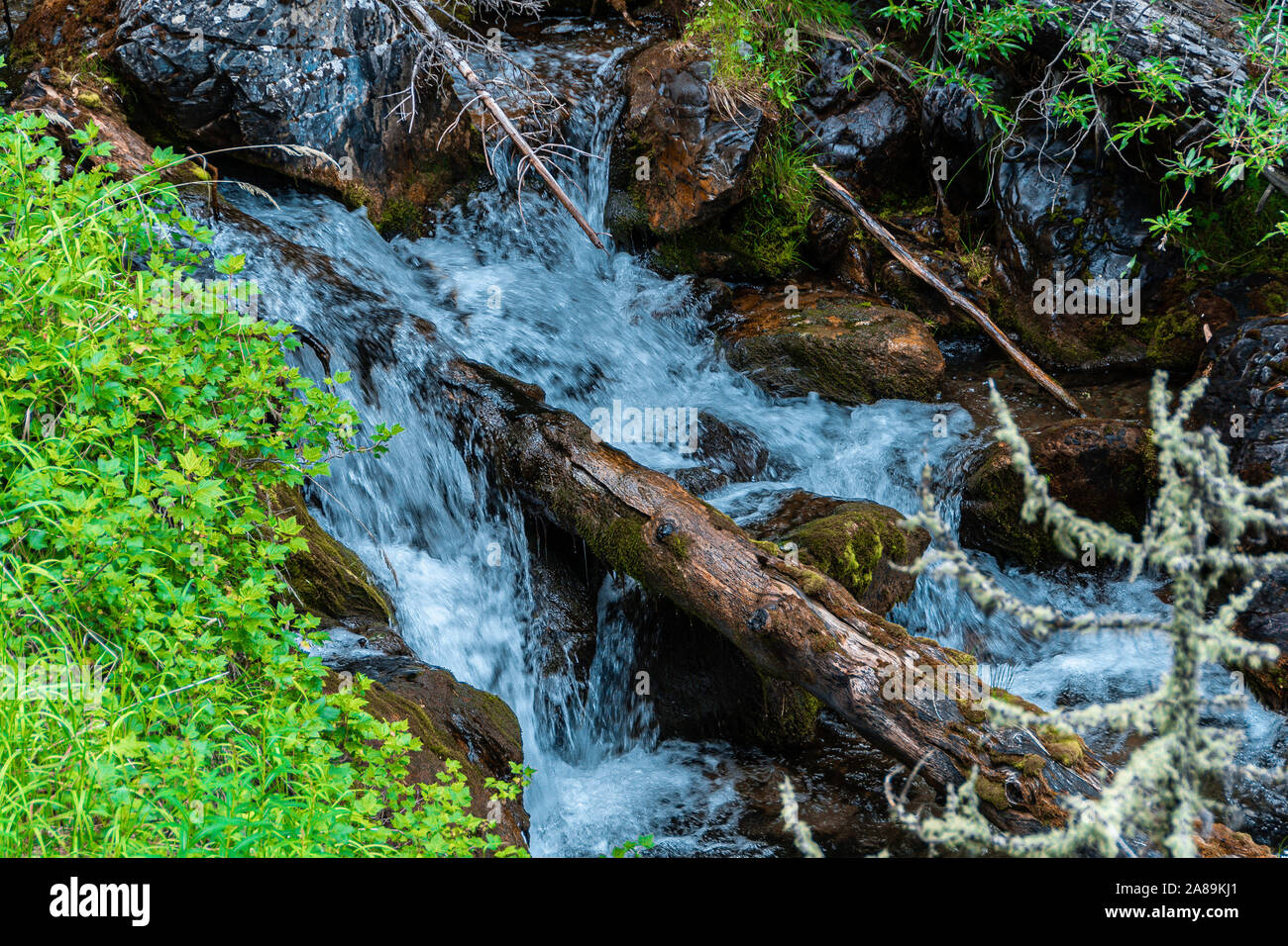 Cascade avec tronc d'arbre sur la rivière de montagne rapide Banque D'Images