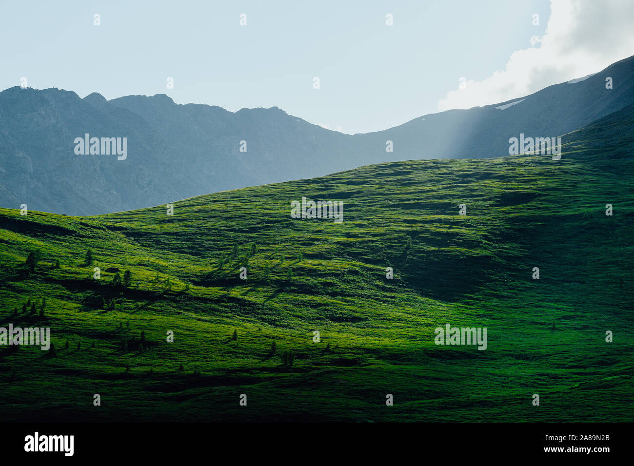 Des collines douces. Mountain Valley pour pâturage avec des pentes douces recouvertes d'herbe verte Banque D'Images