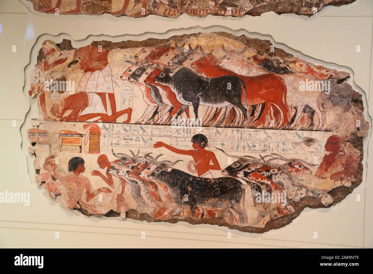 Inspection de la boucherie de la tombe de Nebamun, British Museum, Londres, Royaume-Uni Banque D'Images