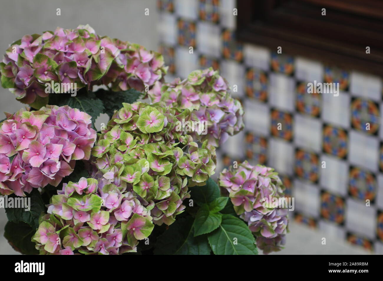 Des fleurs et des carreaux de l'Espagne Banque D'Images