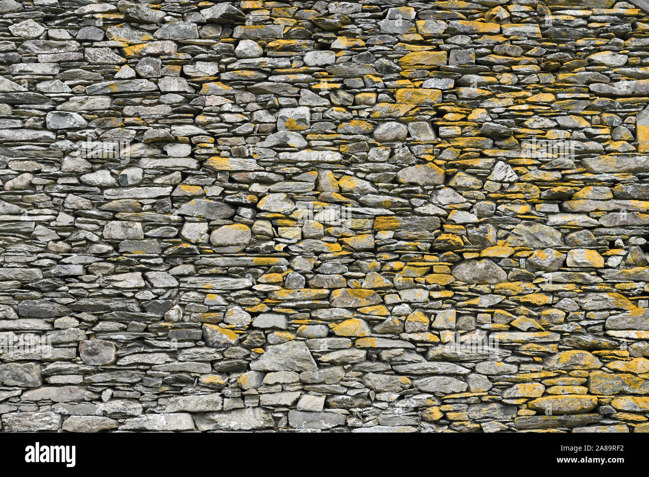 Résumé du lichen jaune sur le mur de pierres sèches a chuté au pied ferme dans peu de Langdale Parc National de Lake District Cumbria England Banque D'Images
