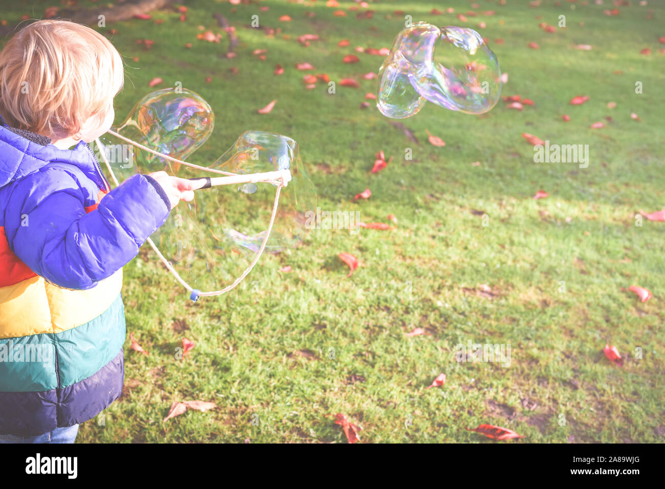 Enfant jouant à l'extérieur dans un jardin pendant la journée avec des bulles qu'il est heureux et en cours d'exécution Banque D'Images