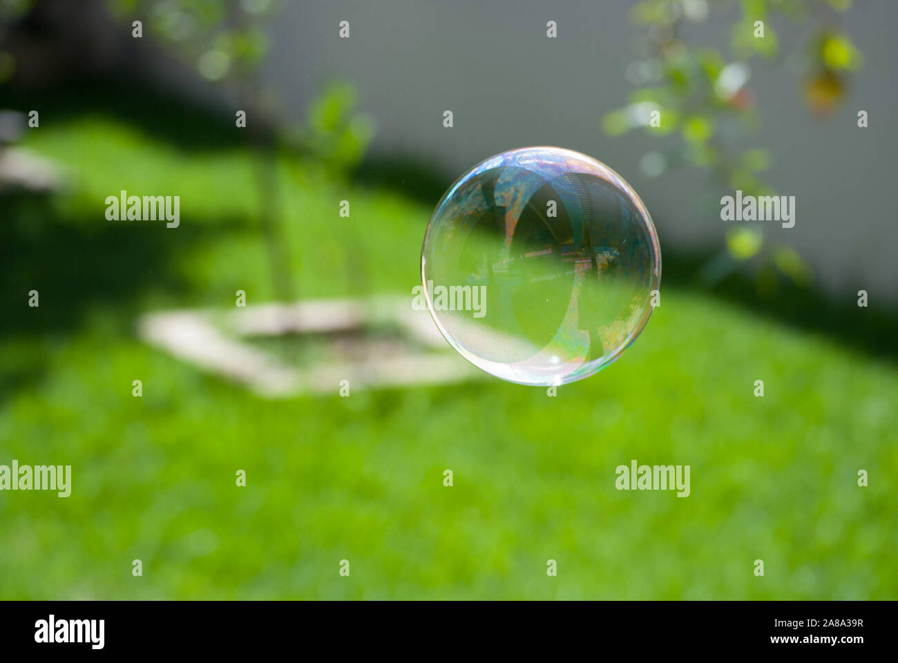 Boule de savon sur le champ vert Banque D'Images