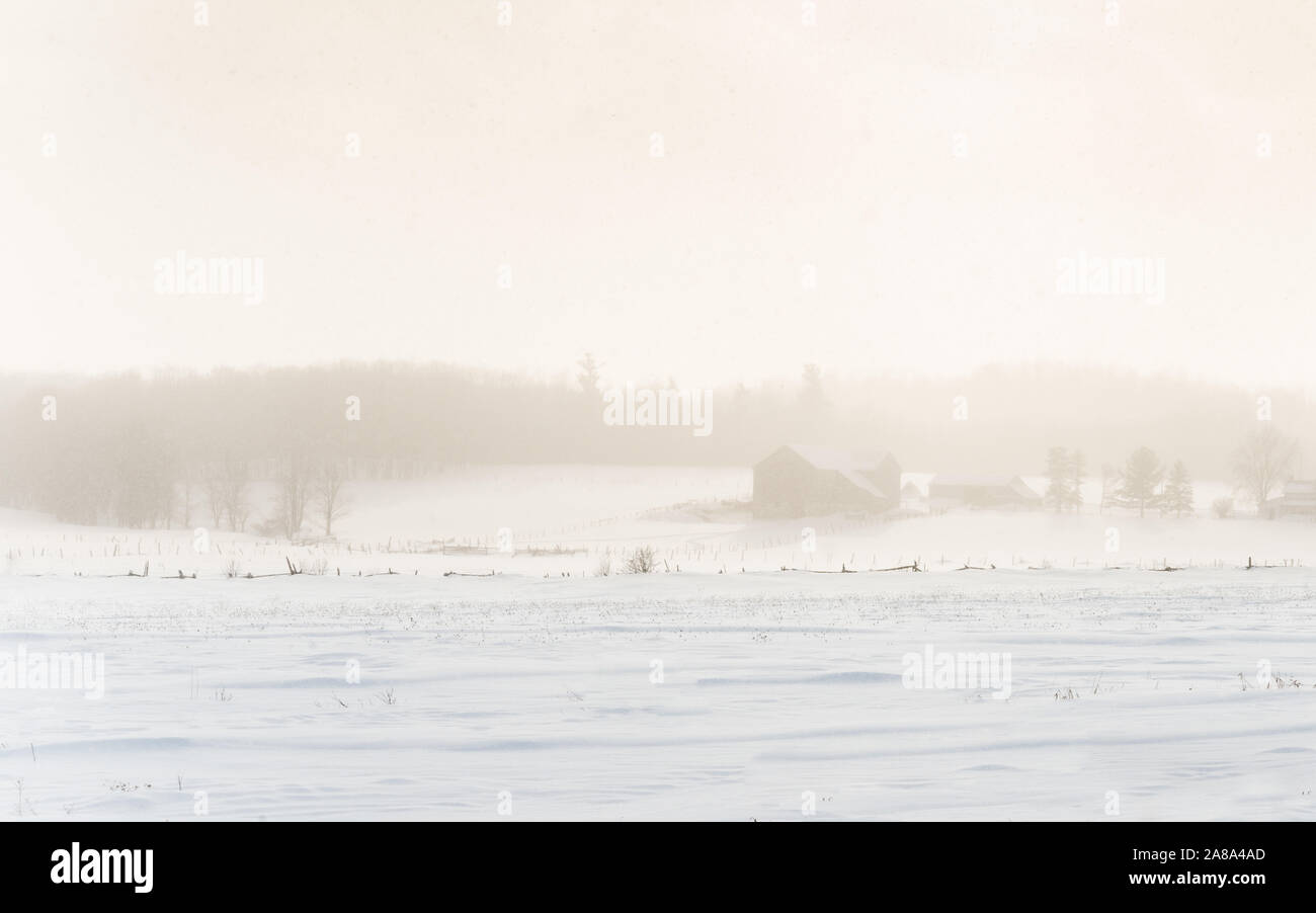 Une ferme et une grange couverte de neige dans un champ ouvert avec forêt derrière sont masquées par une bourrasque de neige en pleine chaleur, lumière dorée Banque D'Images