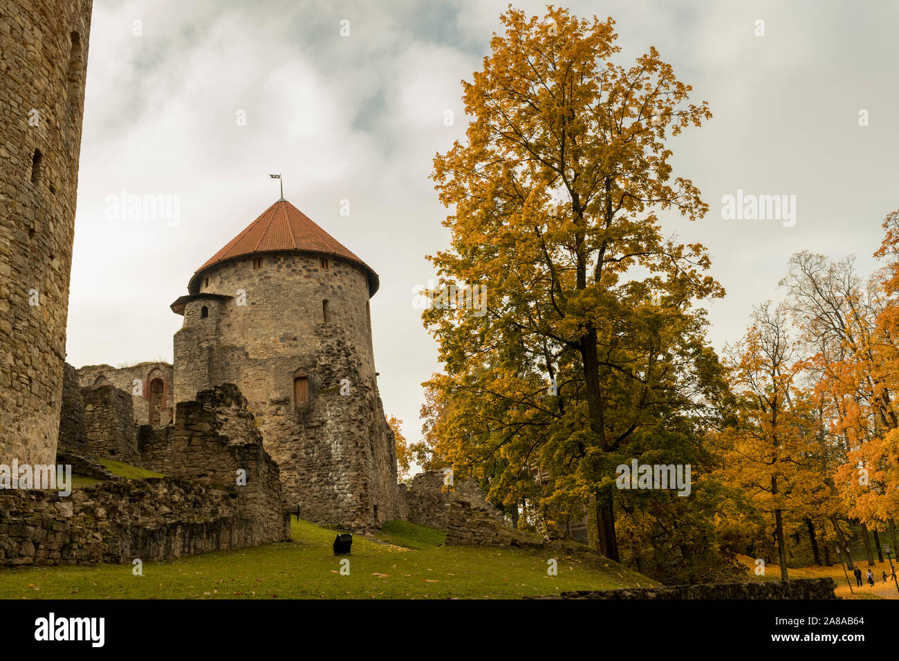 Automne parc aux ruines de château dans la ville de Cesis Banque D'Images