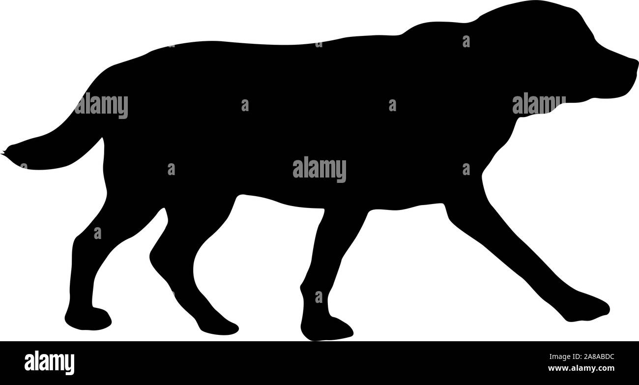 Chien Labrador silhouette sur un fond blanc. Illustration de Vecteur Chien Labrador silhouette sur un fond blanc. Illustration de Vecteur