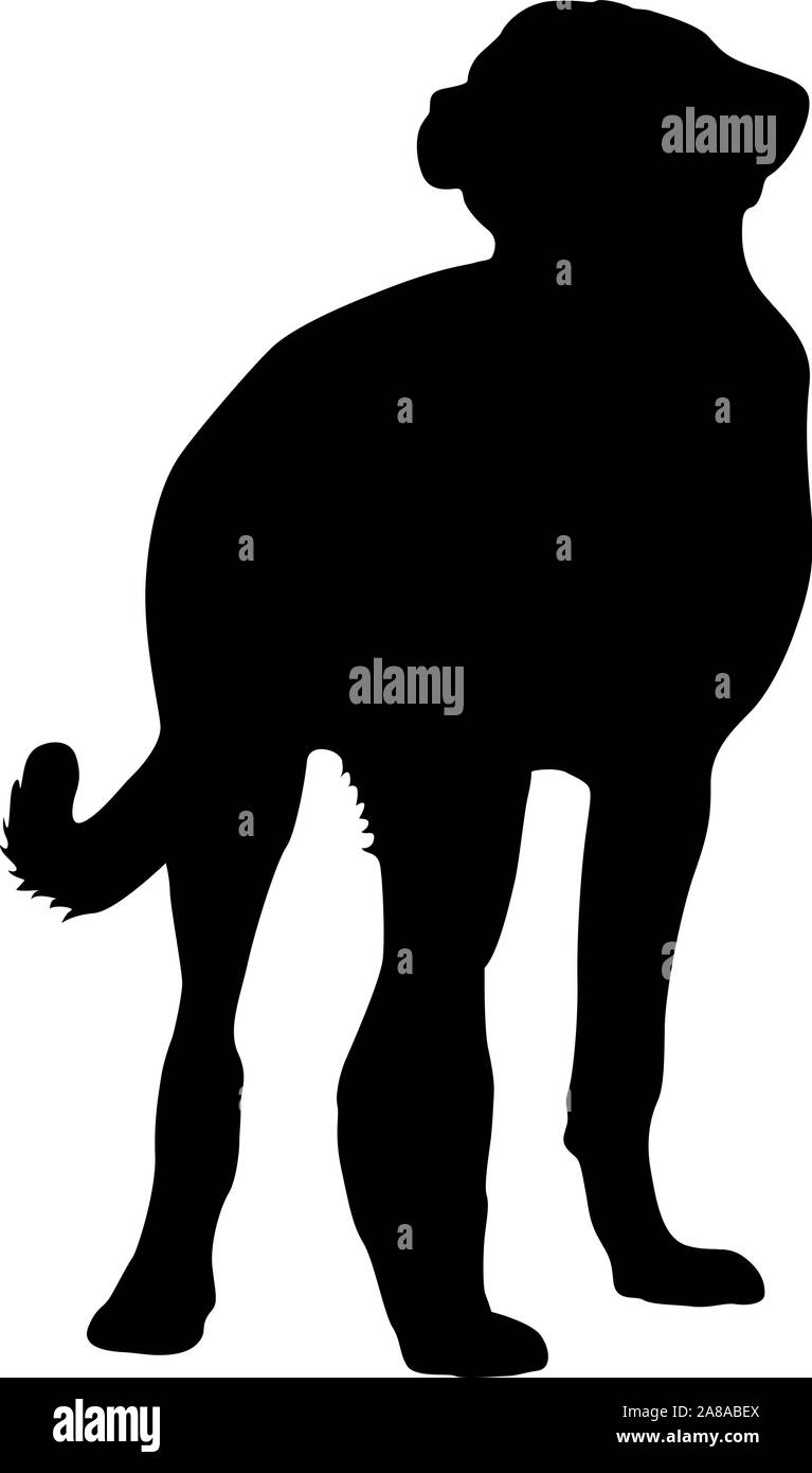 Shepherd Dog silhouette sur un fond blanc. Illustration de Vecteur Shepherd Dog silhouette sur un fond blanc. Illustration de Vecteur