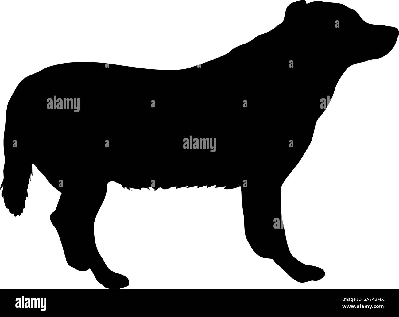 Chien Labrador silhouette sur un fond blanc. Illustration de Vecteur Chien Labrador silhouette sur un fond blanc. Illustration de Vecteur