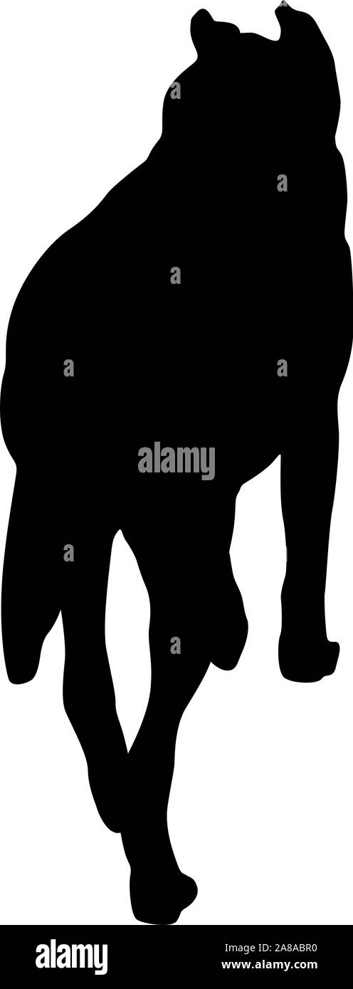 Shepherd Dog silhouette sur un fond blanc. Illustration de Vecteur Shepherd Dog silhouette sur un fond blanc. Illustration de Vecteur