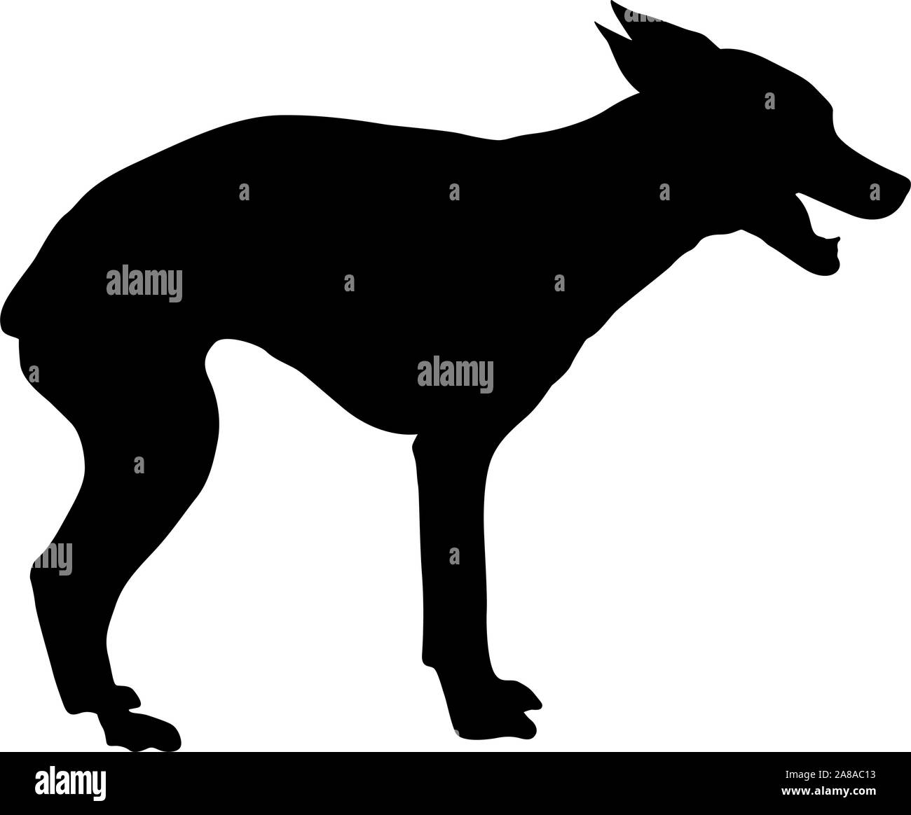 Chihuahua dog silhouette sur un fond blanc. Illustration de Vecteur Chihuahua dog silhouette sur un fond blanc. Illustration de Vecteur