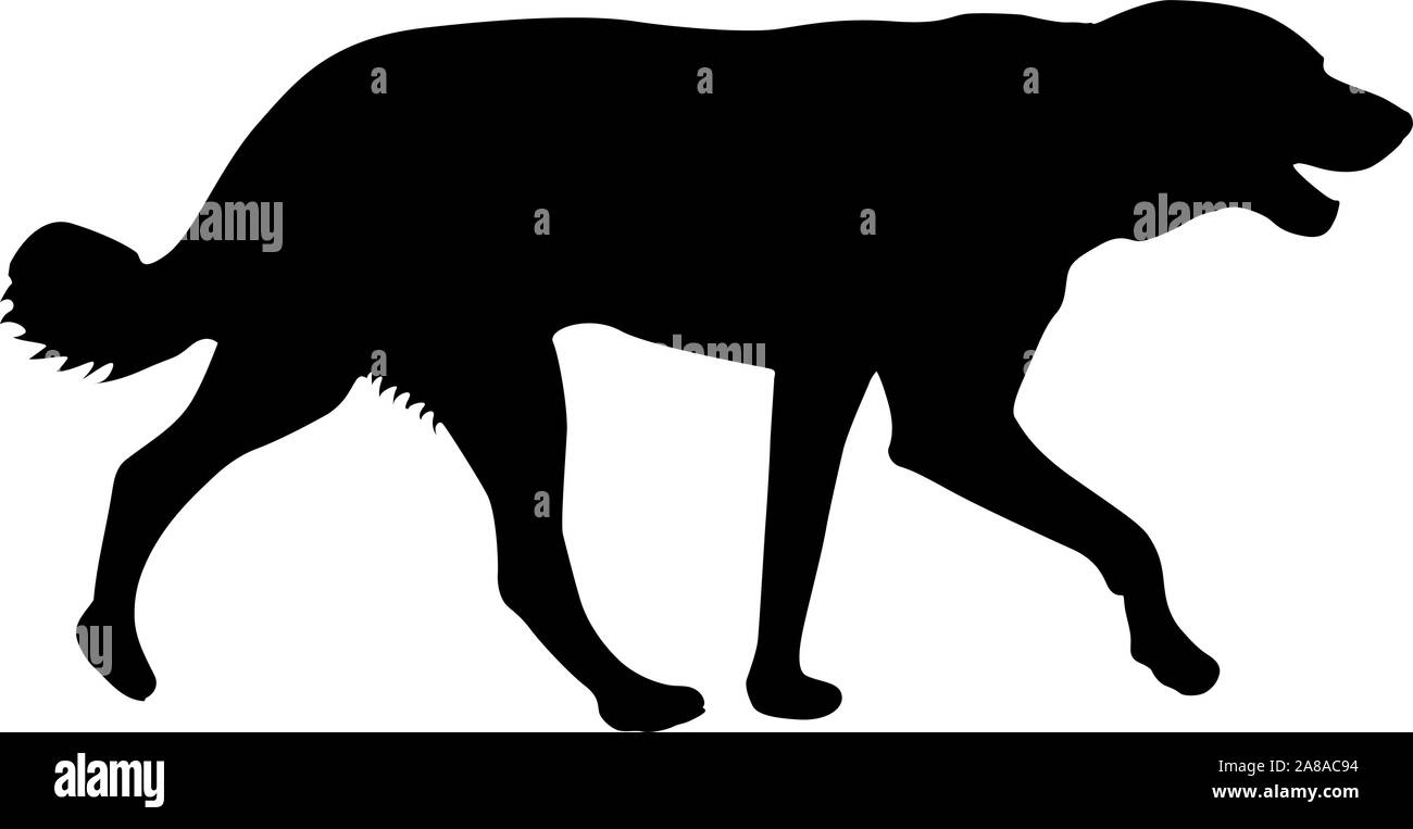 Chien Labrador silhouette sur un fond blanc. Illustration de Vecteur Chien Labrador silhouette sur un fond blanc. Illustration de Vecteur