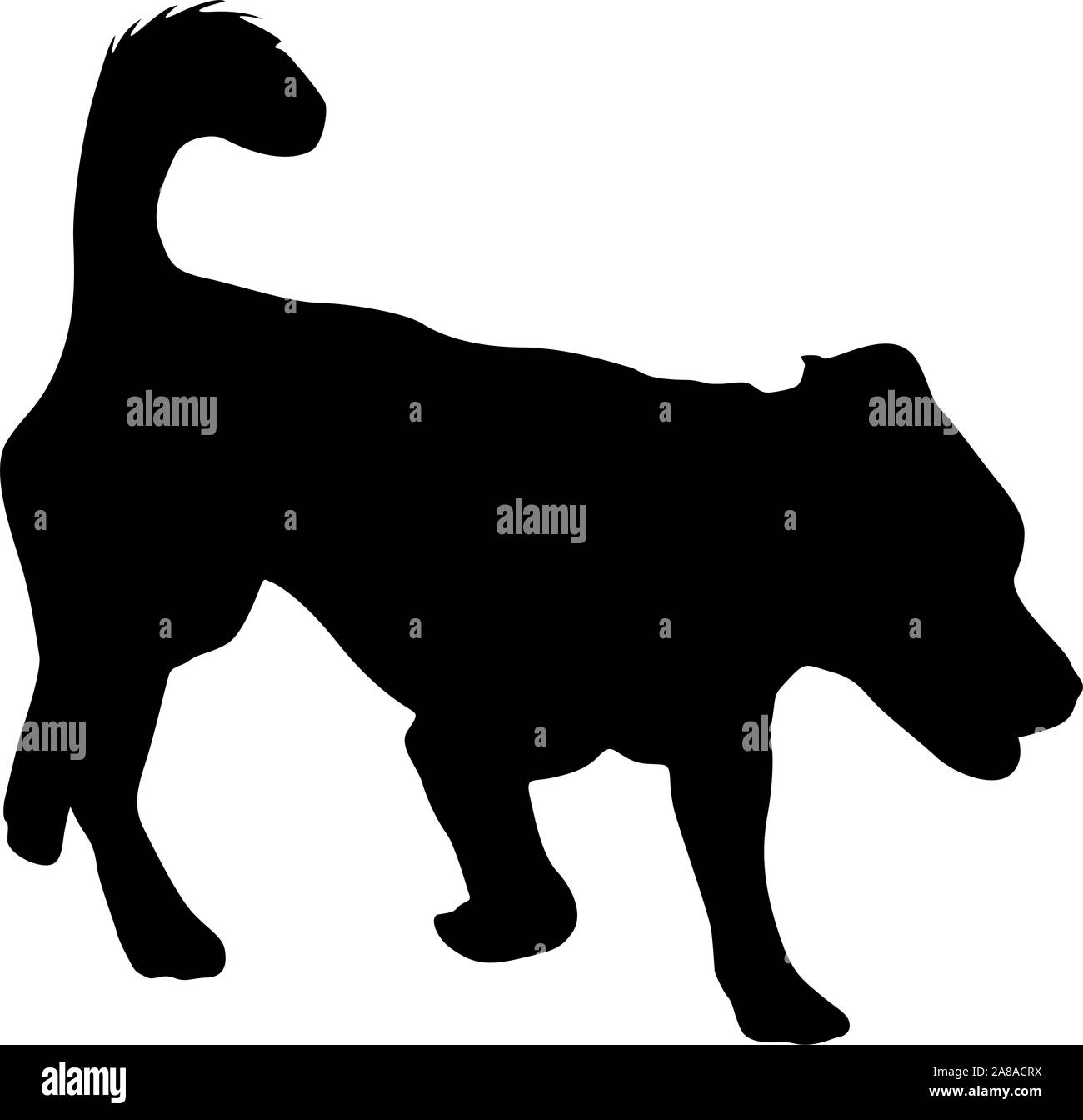 Welsh Corgi chien silhouette sur un fond blanc. Illustration de Vecteur