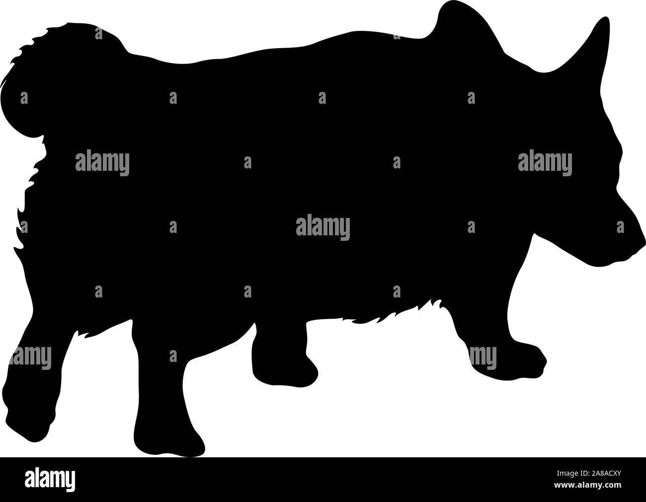 Welsh Corgi chien silhouette sur un fond blanc. Illustration de Vecteur Welsh Corgi chien silhouette sur un fond blanc. Illustration de Vecteur
