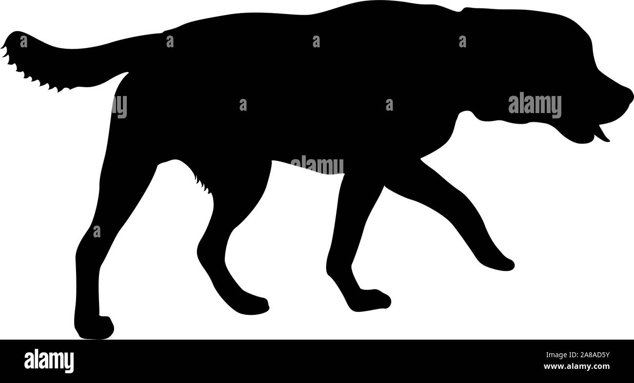 Chien Labrador silhouette sur un fond blanc. Illustration de Vecteur Chien Labrador silhouette sur un fond blanc. Illustration de Vecteur