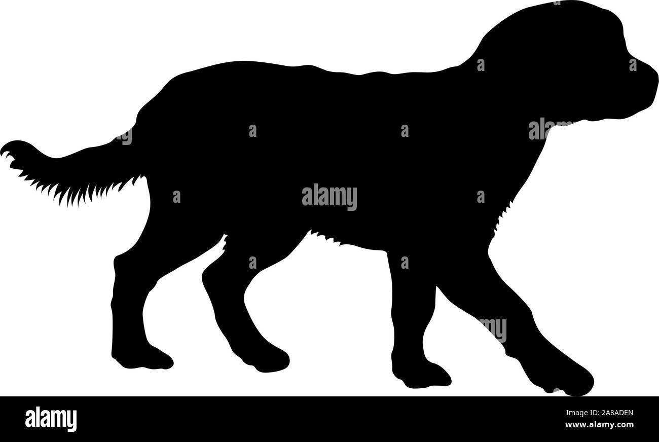 Chien Labrador silhouette sur un fond blanc. Illustration de Vecteur Chien Labrador silhouette sur un fond blanc. Illustration de Vecteur