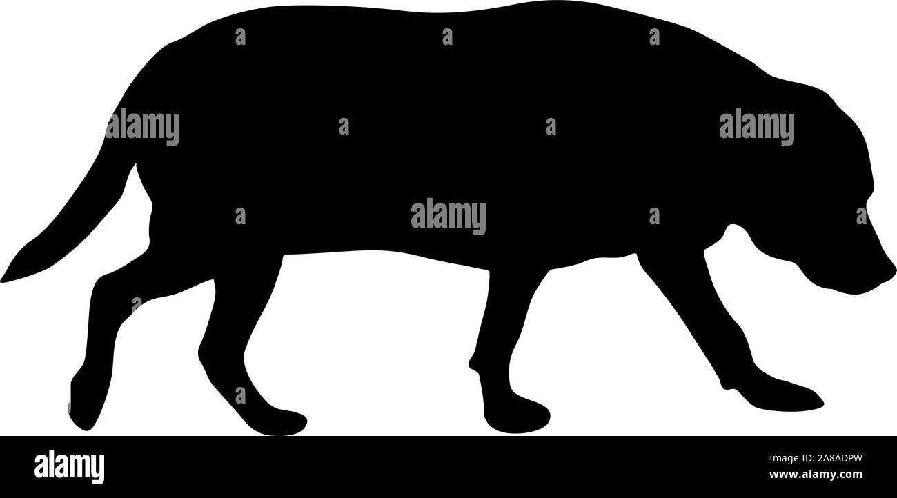 Chien Labrador silhouette sur un fond blanc. Illustration de Vecteur Chien Labrador silhouette sur un fond blanc. Illustration de Vecteur