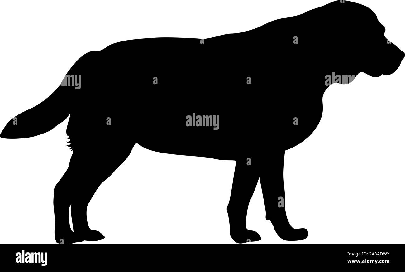 Chien Labrador silhouette sur un fond blanc. Illustration de Vecteur Chien Labrador silhouette sur un fond blanc. Illustration de Vecteur