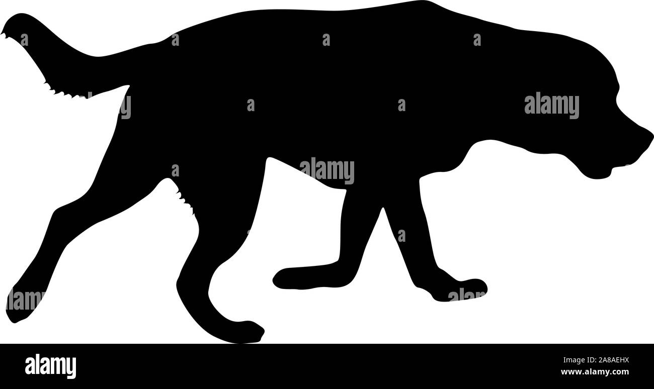 Chien Labrador silhouette sur un fond blanc. Illustration de Vecteur Chien Labrador silhouette sur un fond blanc. Illustration de Vecteur